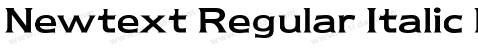 Newtext Regular Italic BT字体转换